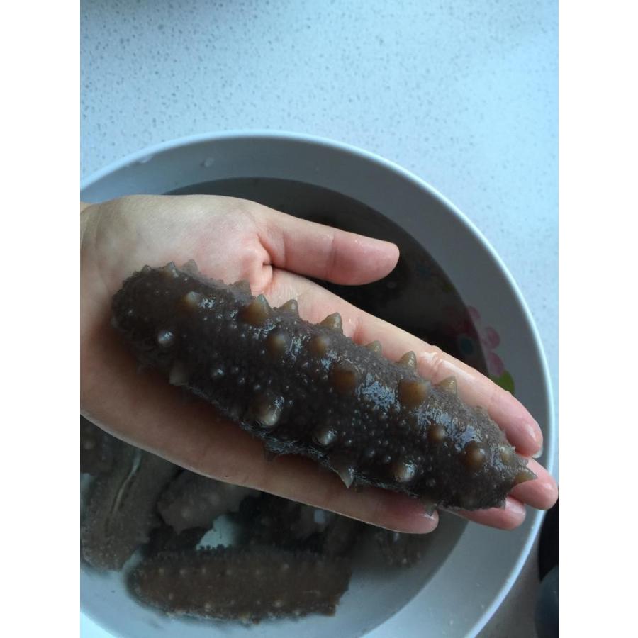 冷凍なまこ　関西産　1ｋ　５本〜10本入り |  | 02