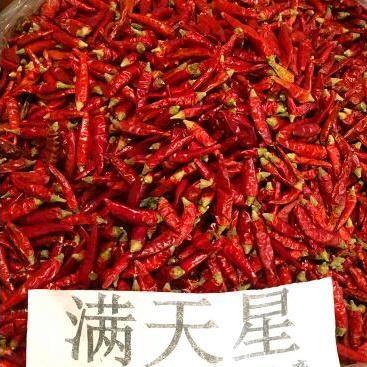 満天星激辛唐辛子　ホールOR粉　250ｇ/ｐ |  | 02