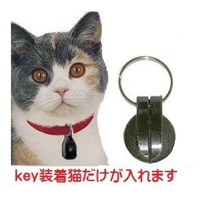 工事不要サッシ取付猫用ドア】センサ-付 パネルキャットドア 工事不要サッシ取付猫用ドア】センサ-付 パネルキャットドア