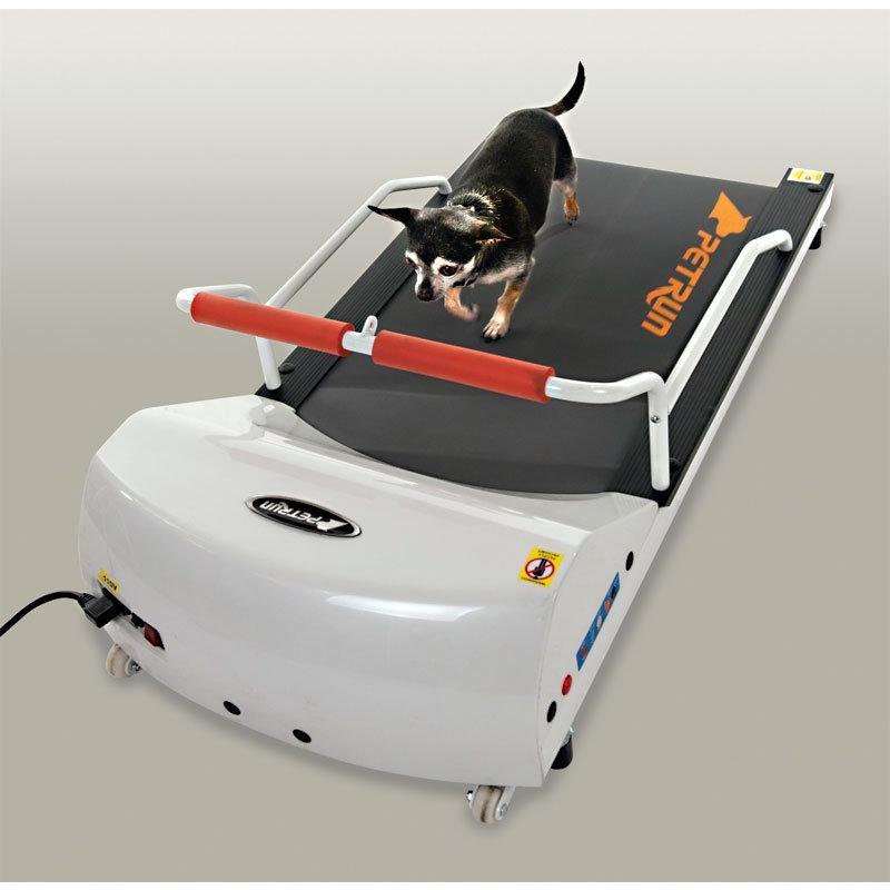 犬の運動器 ペットランPR700【小型犬用ルームランナー】犬用ランニングマシーン ペットラン PR-700 ［小型犬用運動器］ 全長1m10cm : サンセイ