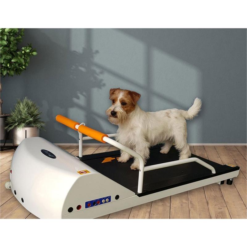 犬の運動器 ペットランPR700【小型犬用ルームランナー】犬用ランニングマシーン ペットラン PR-700 ［小型犬用運動器］ 全長1m10cm : サンセイ