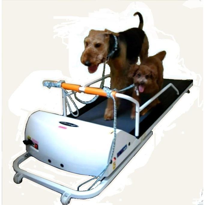 ペットラン Pr 710f 小 中型犬用運動器 全長1ｍ56cm Pr 710 サンセイヤフー店 通販 Yahoo ショッピング