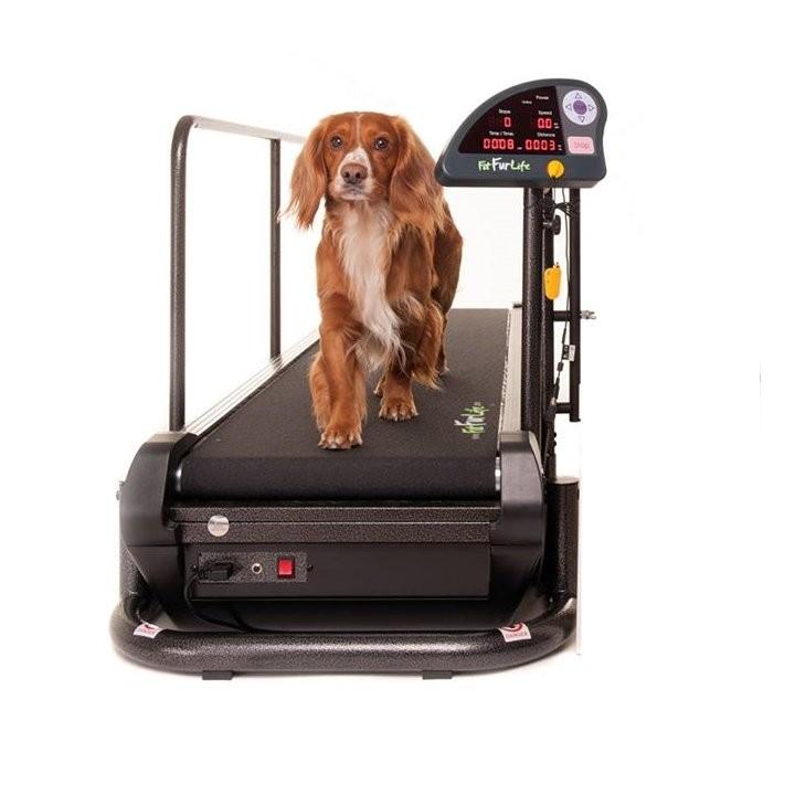 ペットラン　ペット用ランニングマシーン720F 楽天市場】犬の運動器ペットランPR720F【中〜大型犬用ルーム