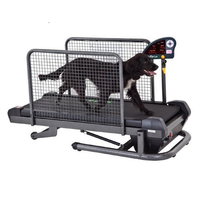 Fit Fur Life トレッドミル ［中型犬用運動器］ 全長1m20cm : サンセイ