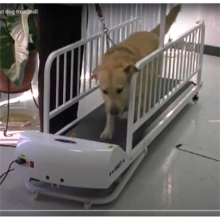 ペットラン PR725 【大型・超大型犬用運動器】 傾斜機能付き