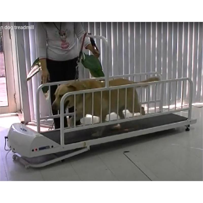ペットラン PR725 【大型・超大型犬用運動器】 傾斜機能付き