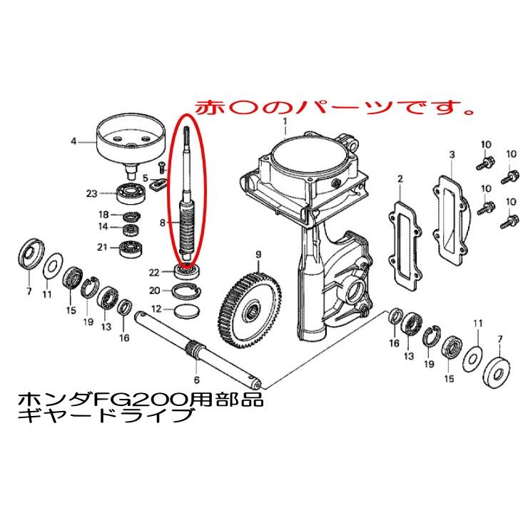 新色追加！ ホンダ 純正 ミッション ギア部品 縦軸ギア ギヤ ドライブ プチな FG200用