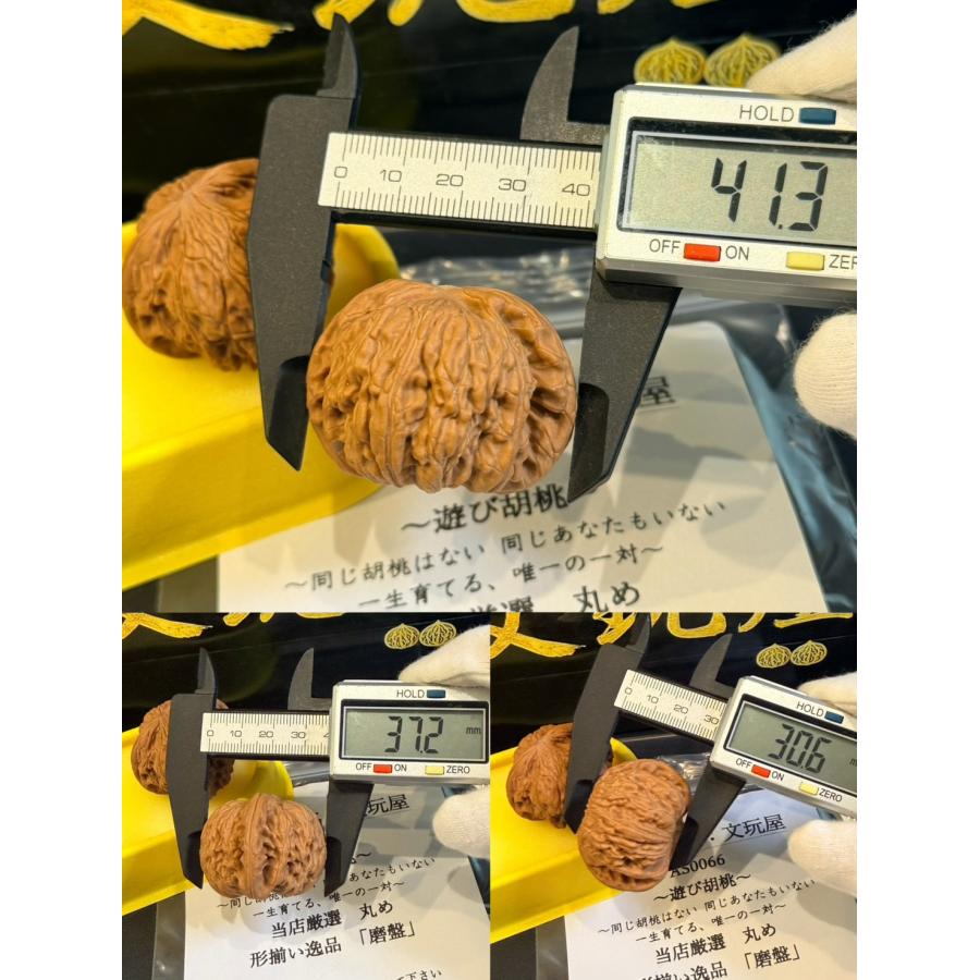 AS0066 文玩屋 遊び胡桃 当店厳選 丸めぷっくり形揃い逸品 「磨盤