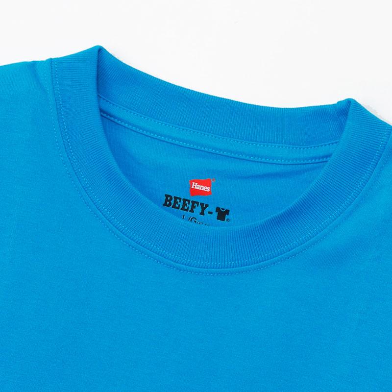 Hanes（ヘインズ） 50周年記念 限定カラー ビーフィー Tシャツ BEEFY-T