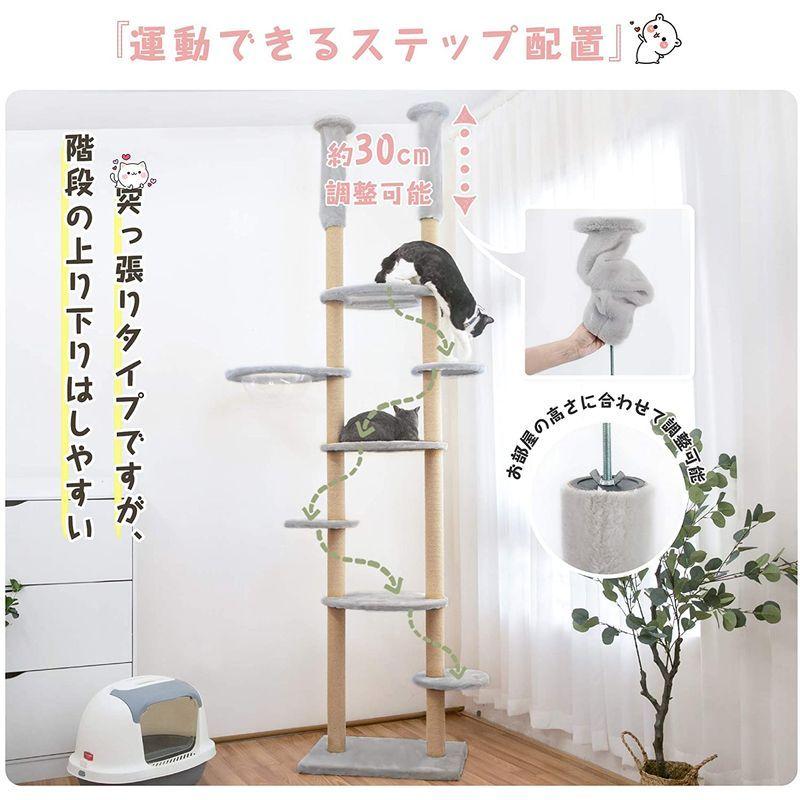 Mwpo 透明宇宙船 窓付きの透明ステップ 突っ張りタイプキャットタワー おうちで木登りタワー 多頭飼い 天然サイザル麻紐 爪とぎガリガリ 透明宇宙船 窓付きの透明ステップ 突っ張りタイプキャットタワー おうちで木登りタワー 多頭飼い 天然サイザル麻紐 爪とぎガリガリ