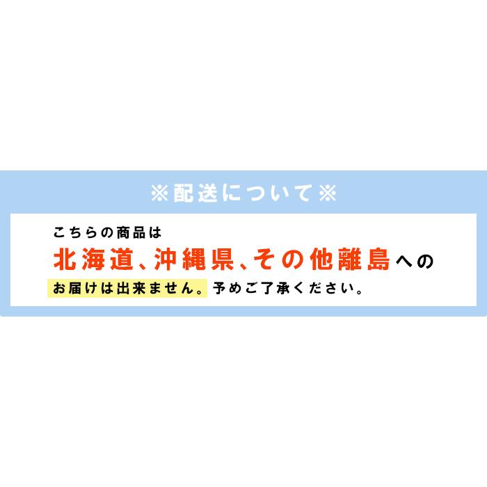 先行販売 サニーショコラ 長野県 6本 2Lサイズ お取り寄せ とうもろこし：c10｜sansonichiba｜12