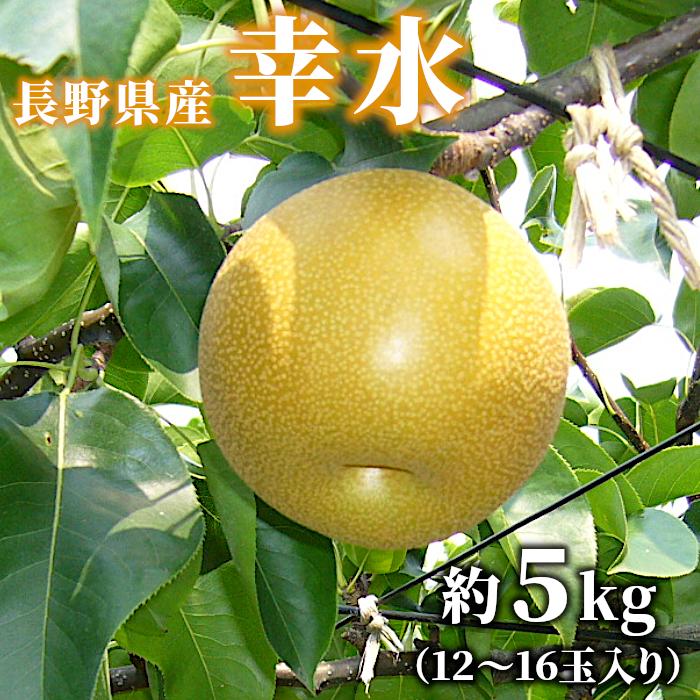 大特価 梨 幸水 約5kg 12 16玉入り 長野県産