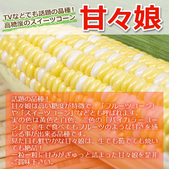 Sale Off 長野県産 とうもろこし 甘々娘 10本入り かんかん娘 カンカン娘 産地直送 朝採れ C68 Whitesforracialequity Org