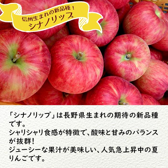 りんご 長野県産 シナノリップ 約3kg (6〜12玉入り) お取り寄せ 秀品:c104 りんご 減農薬 長野 生食用 紅玉 りんご B品 約4kg小玉12〜25個入 リンゴ 林檎 産地直送 小山 9g