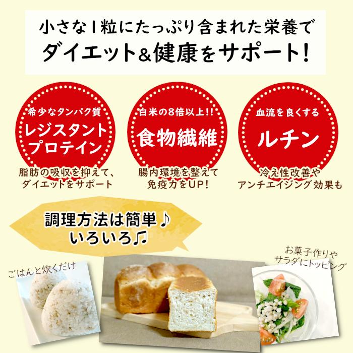 ガレット粉 蕎麦粉 そばの実 100g 2袋 0g 長野県産 国産 F06 Ys F 006x 山村市場 通販 Yahoo ショッピング