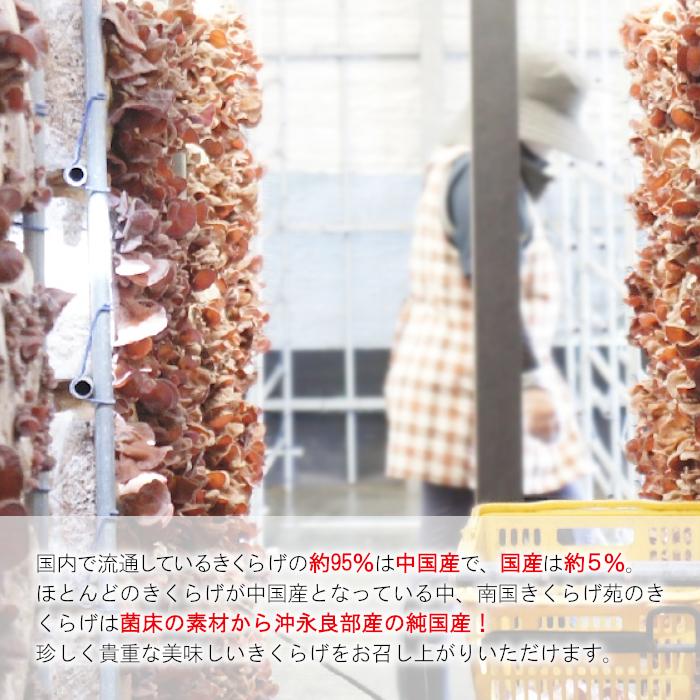 435円 ー品販売 中国産 裏白木耳 きくらげ スライス 3mm×フリーサイズ 1k入 435円 ー品販売 中国産 裏白木耳 きくらげ スライス 3mm×フリーサイズ 1k入
