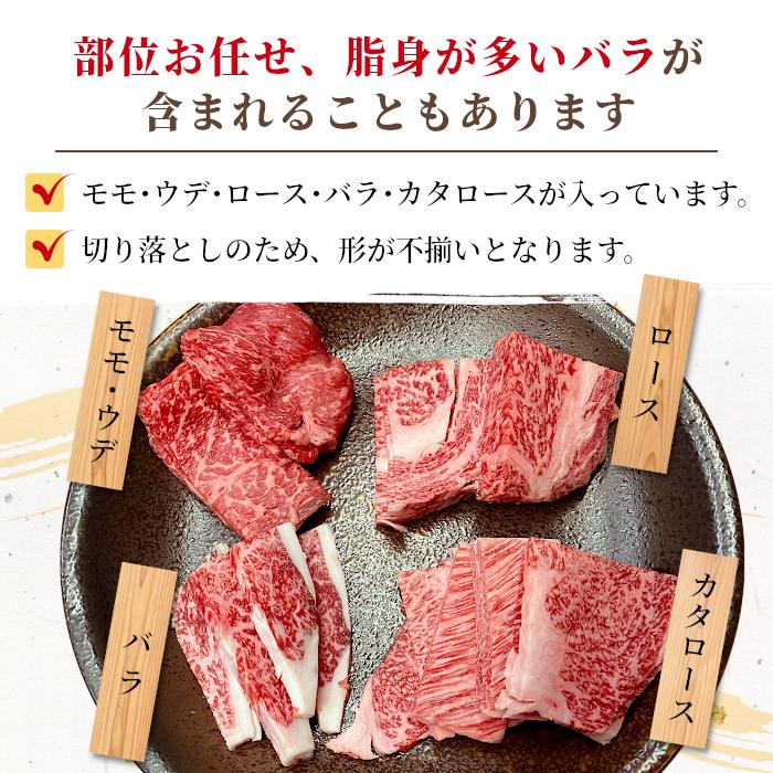 期間限定牛スジ付き 訳あり 国産黒毛和牛 焼肉 切り落とし 500g お取り寄せ：s08｜sansonichiba｜02