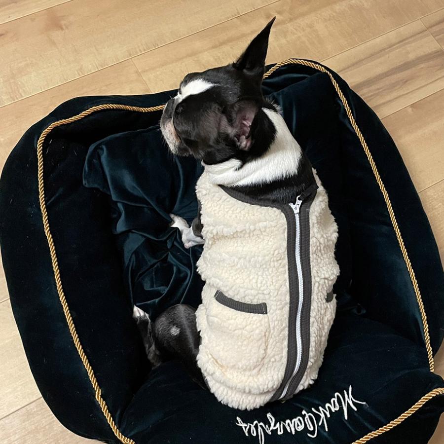 ドッグウェア ブランド MAiTE マイト 犬服 散歩着 かわいい 可愛い 冬