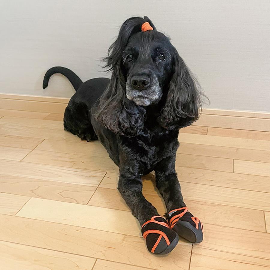 犬 靴 脱げない 履かせやすい くつ 小型 散歩 いぬたび 足袋 足袋