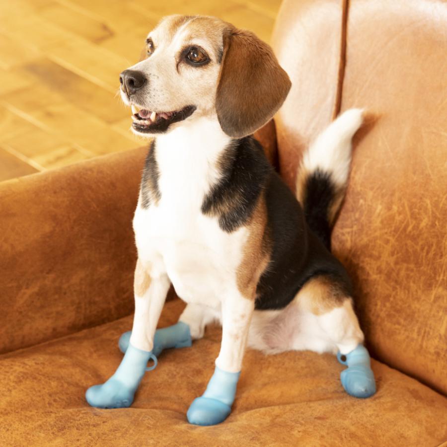 犬 靴 犬の靴 パウテクト PAWTECT 犬用シューズ 犬用ブーツ 犬靴