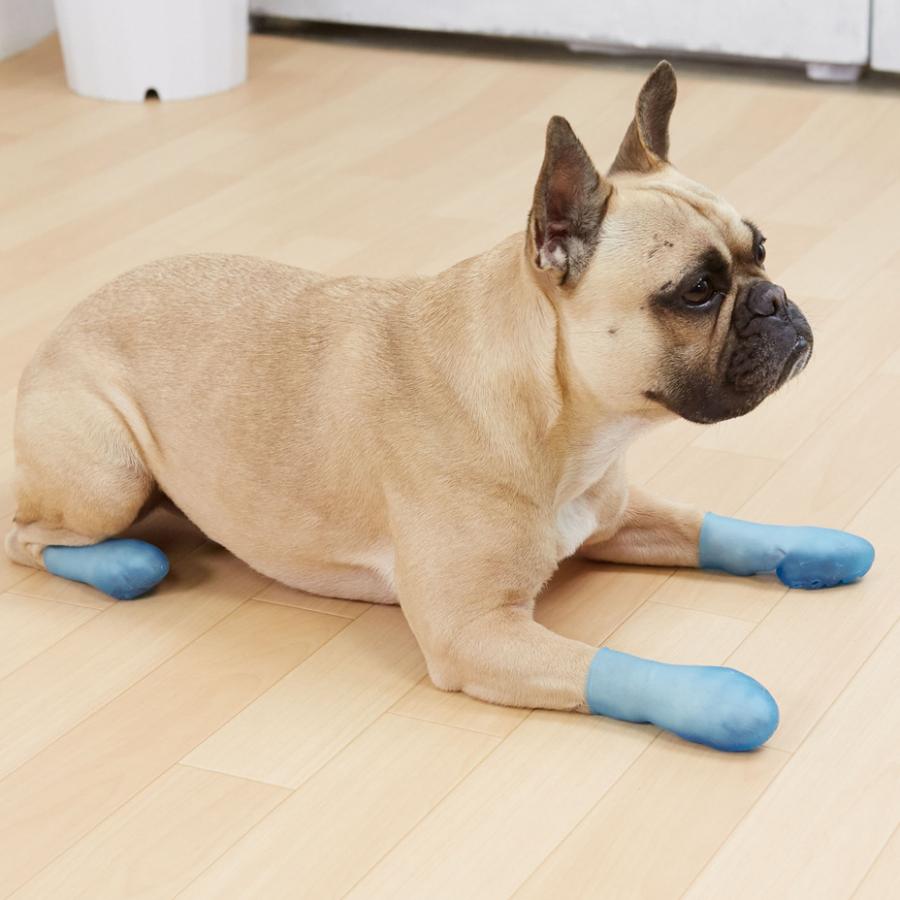 犬 靴 犬の靴 パウテクト PAWTECT 犬用シューズ 犬用ブーツ 犬靴