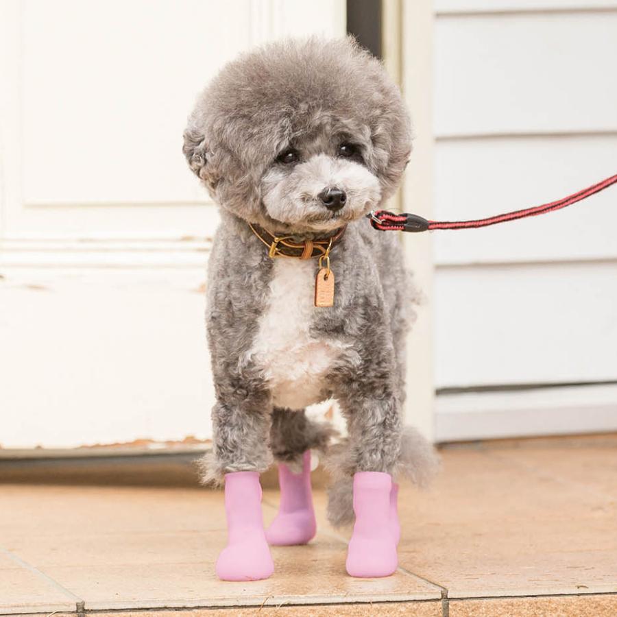 犬 靴 犬の靴 パウテクト PAWTECT 犬用シューズ 犬用ブーツ 犬靴
