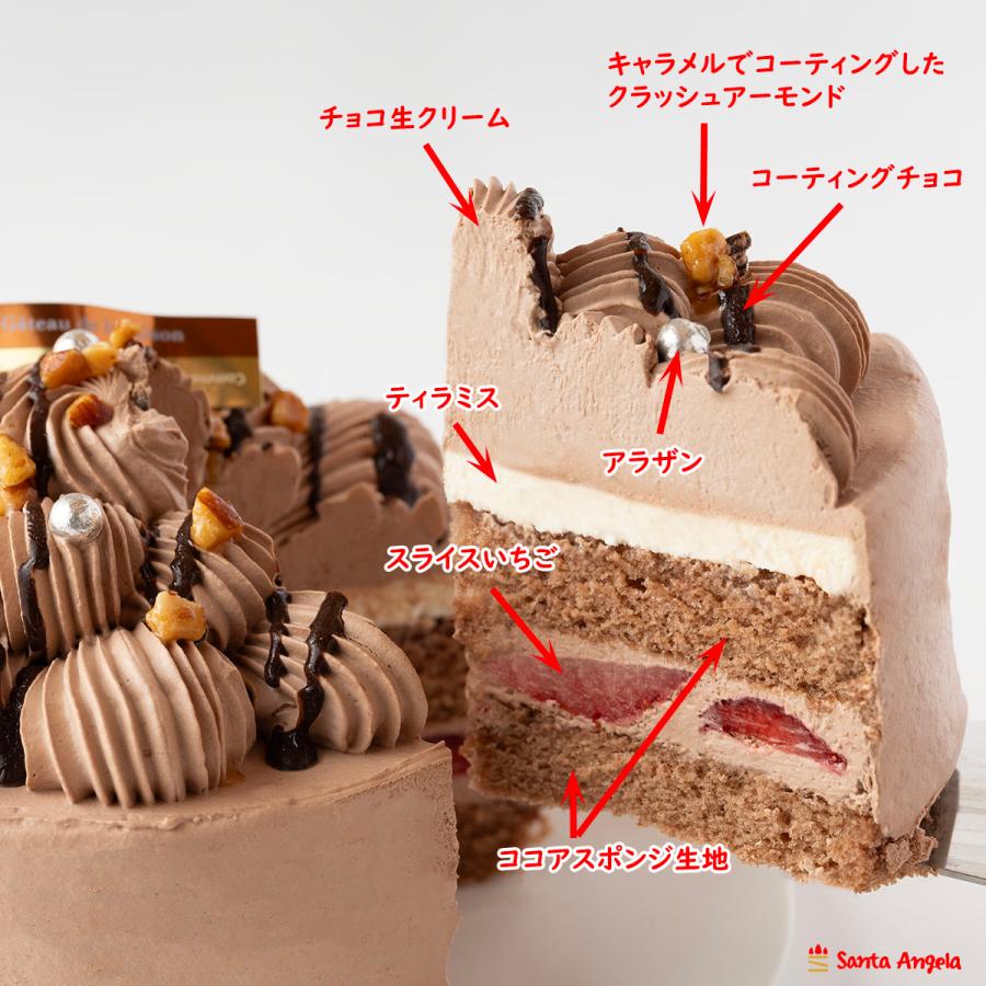 ティラミスチョコショートケーキ 4号 ティラミス デコレーションケーキ