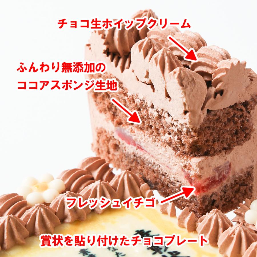 賞状ケーキチョコ5号 15 12センチ 送料無料 表彰状ケーキ メッセージケーキ 感謝状ケーキ 還暦 敬老の日 誕生日 バースデー 記念日 お祝い サプライズ Chocokansya5 サンタアンジェラヤフーショップ 通販 Yahoo ショッピング