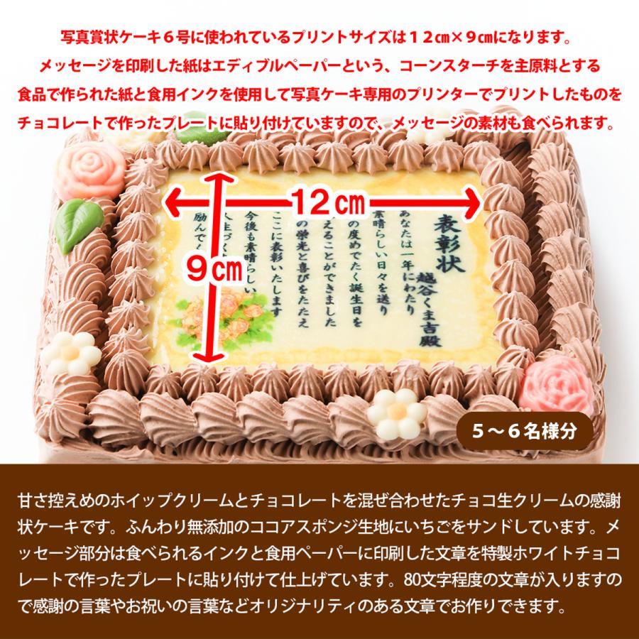 写真ケーキ ケーキ プリント 写真 ケーキ 誕生日ケーキ ケーキ 誕生日 デコレーションケーキ バースデーケーキ ホールケーキ 感謝状 チョコ 6号 18×14cm｜santa-angela｜04