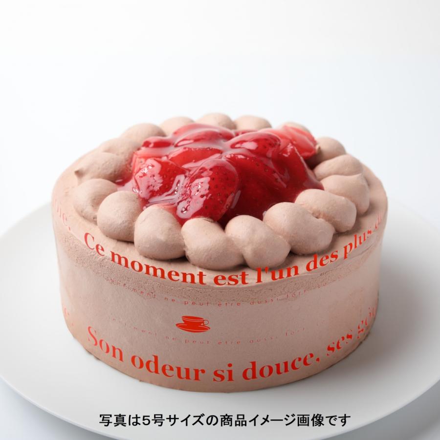 苺生チョコデコレーション7号：誕生日 お祝いのケーキに：送料無料 AL完売しました。 期間限定