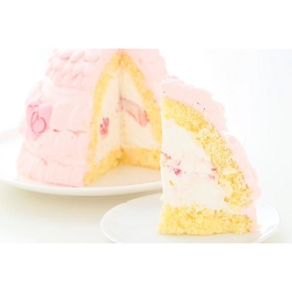 2周年記念イベントが 立体ケーキプリンセス5号 誕生日ケーキ 結婚記念日 お祝いのプレゼント ひなまつり 母の日 送料無料 Caassistedliving Org