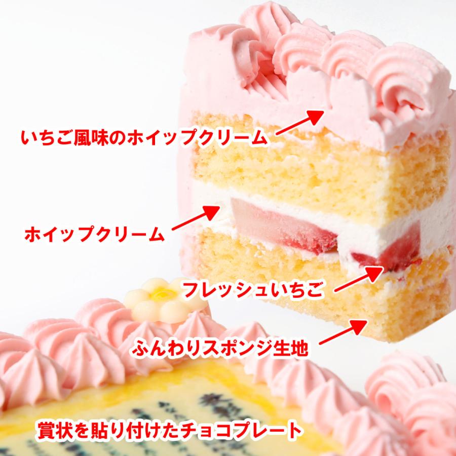 バースデーケーキ 誕生日ケーキ 母の日 スイーツ ケーキ 誕生日 賞状ケーキ 感謝状 写真ケーキ 記念日 父の日 還暦祝い 敬老の日 ピンク4号 12×9センチ｜santa-angela｜05