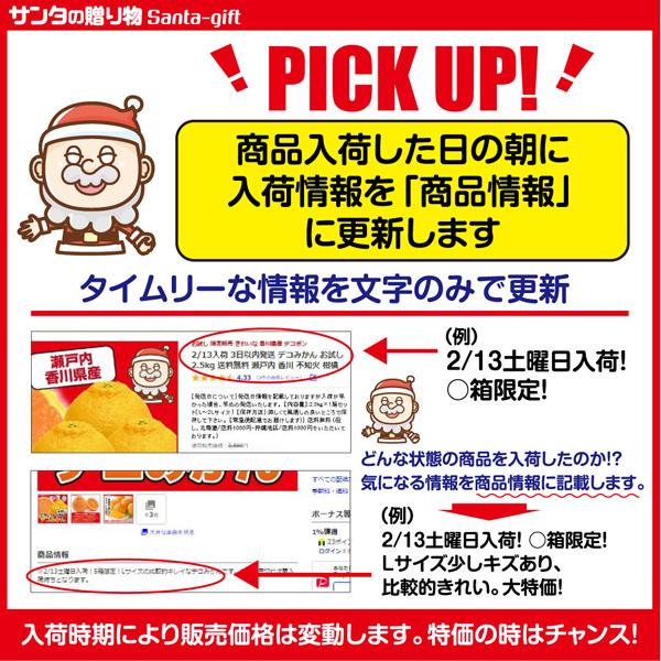 デコポン 不知火 みかん S-Lサイズの混合 同品種 お試し 2.5kg デコポン 不知火 みかん S-Lサイズの混合 同品種 お試し 2.5kg
