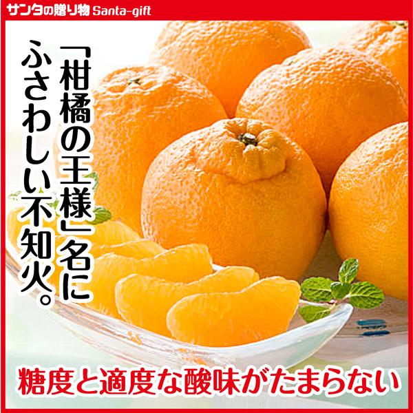 デコポン 不知火 みかん S-Lサイズの混合 同品種 お試し 2.5kg デコポン 不知火 みかん S-Lサイズの混合 同品種 お試し 2.5kg
