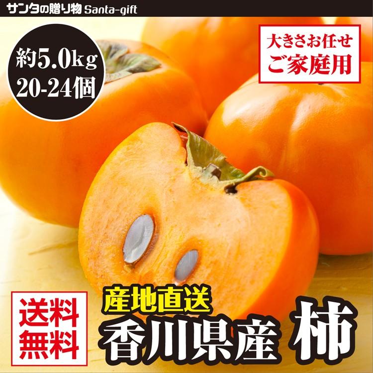 富有柿 香川県産 約5kg (訳あり・サイズ混合) | 高い糖度と食べごたえ 