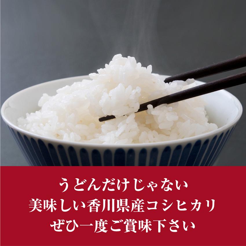 5kg 新米 香川県産 コシヒカリ 令和6年産 白米 送料無料 5kg 新米 香川県産 コシヒカリ 令和6年産 白米 送料無料