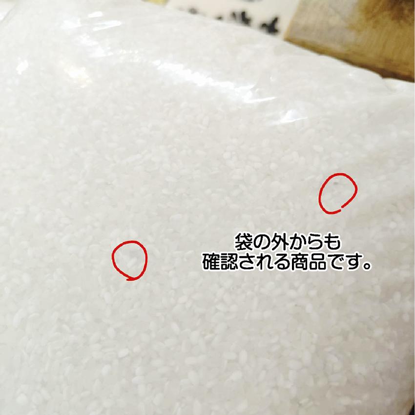 翌営業日までに 出荷 令和7年産 白米 10kg（5kg×2袋）新米 生活応援米