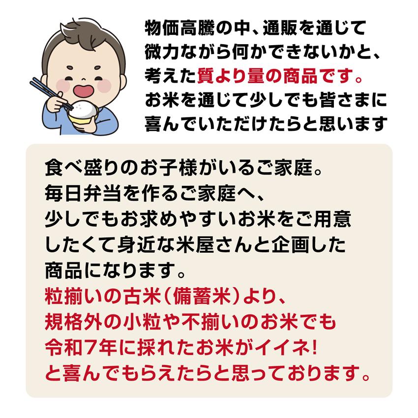 翌営業日までに 出荷 令和7年産 白米 10kg（5kg×2袋）新米 生活応援米