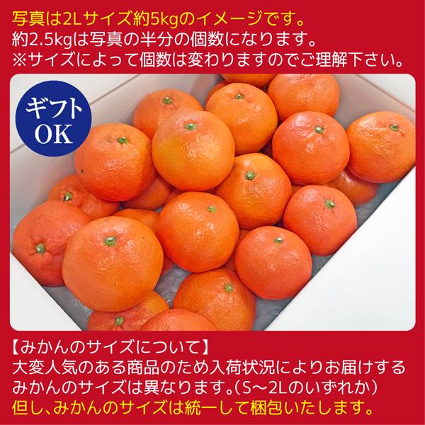 小原紅早生　みかん　Sサイズ　箱込み10kg ≪先行受注≫小原紅早生みかん 香川県産 約10kg (S ～ Lサイズ