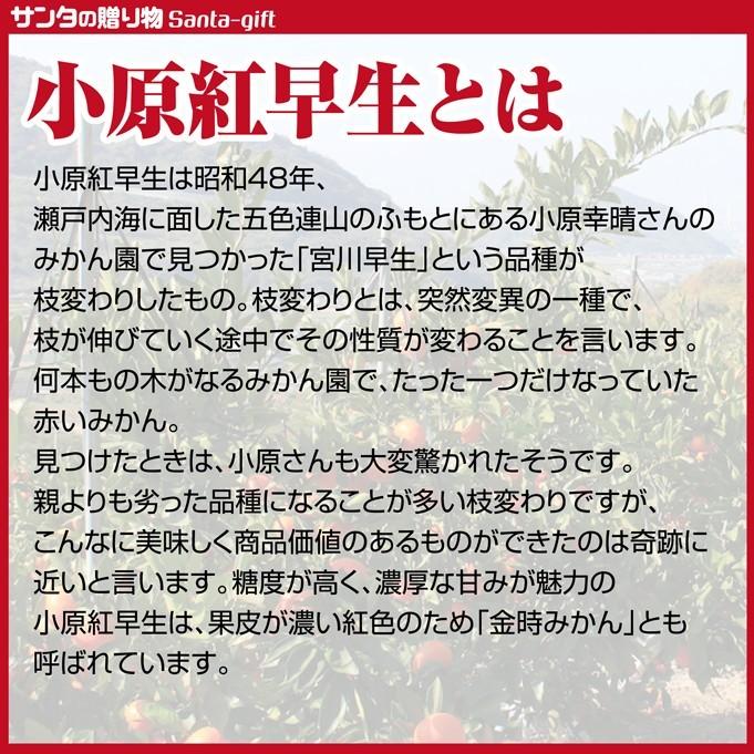 小原紅 みかんL-2Lサイズ 約5kg 香川県 奇跡のみかん 小原紅早生金時みかん 紅くて 甘い｜santa-gift｜04