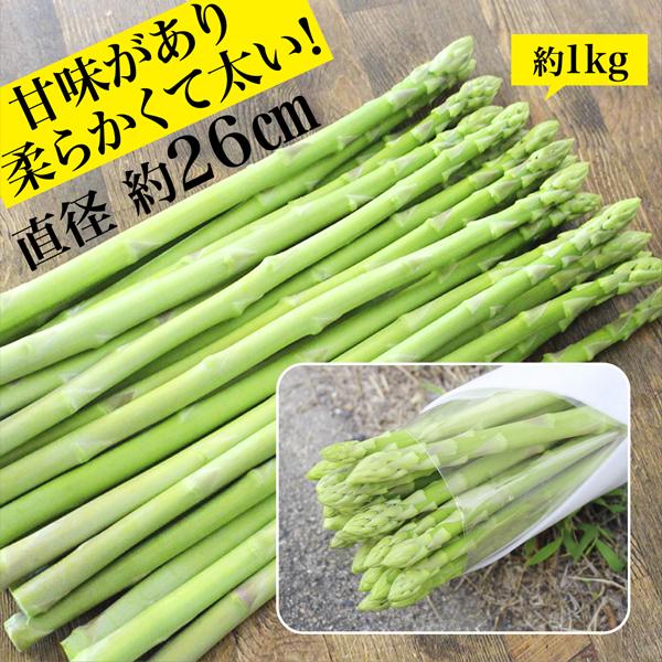 アスパラ さぬきのめざめ 秀品 約1kg 香川県産 送料無料 ブランド