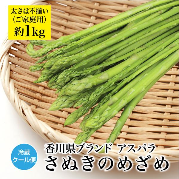 現在ご注文多数につき5月下旬頃の出荷 アスパラ さぬきのめざめ  約1kg 特価 太さ不揃い 香川県 産地直送  送料無料（Yahoo!・サンタの贈り物）