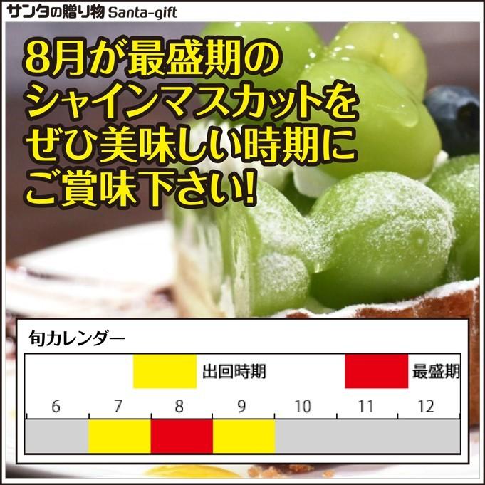 シャインマスカット ぶどう 約2kg 2〜4房 香川県 瀬戸内産 送料無料