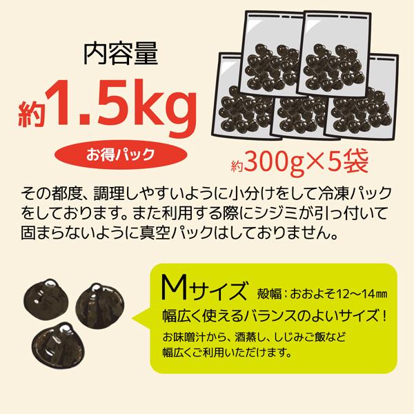 しじみ 島根県 宍道湖産 天然ヤマトシジミ 約1.5kg(300g×5袋)Mサイズ