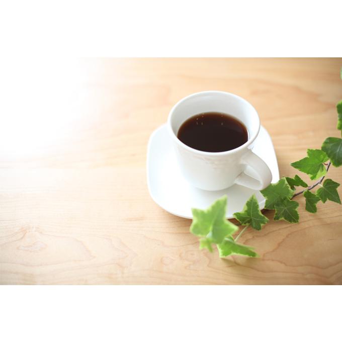オーガニックコーヒー 有機栽培 ハチドリのひとしずくコーヒー 粉/豆200g オーガニック 珈琲 ブレンドコーヒー フェアトレード ウインドファーム｜santarosa｜03