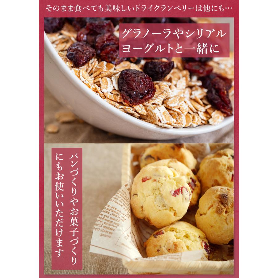 オーガニック クランベリー ドライフルーツ 100g ドライ オーガニック クランベリー ドライフルーツ 100g ドライ