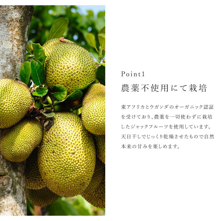 ジャックフルーツ 80g ドライフルーツ 無添加 パラミツ 砂糖不使用 無