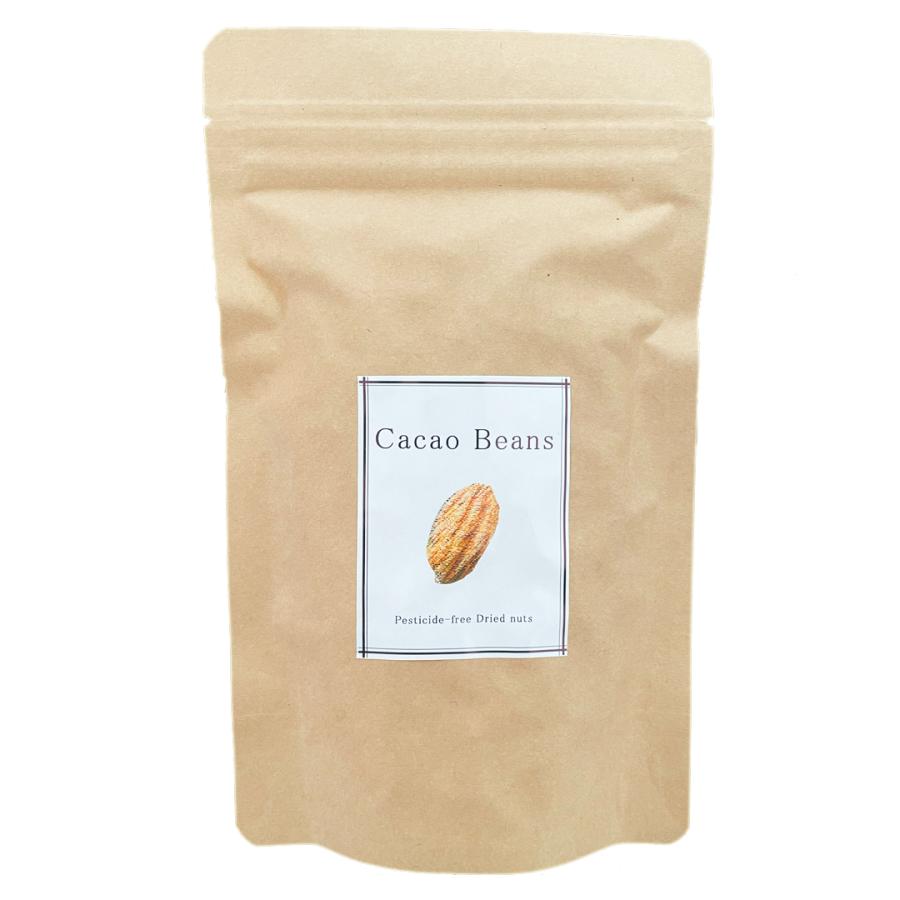 カカオ豆 100g ロースト 農薬不使用 カカオビーンズ 発酵カカオ豆
