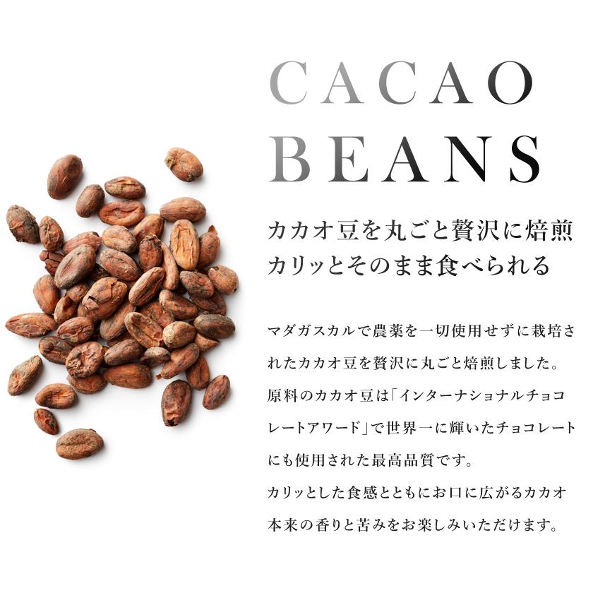 カカオ豆 100g ロースト 農薬不使用 カカオビーンズ 発酵カカオ豆