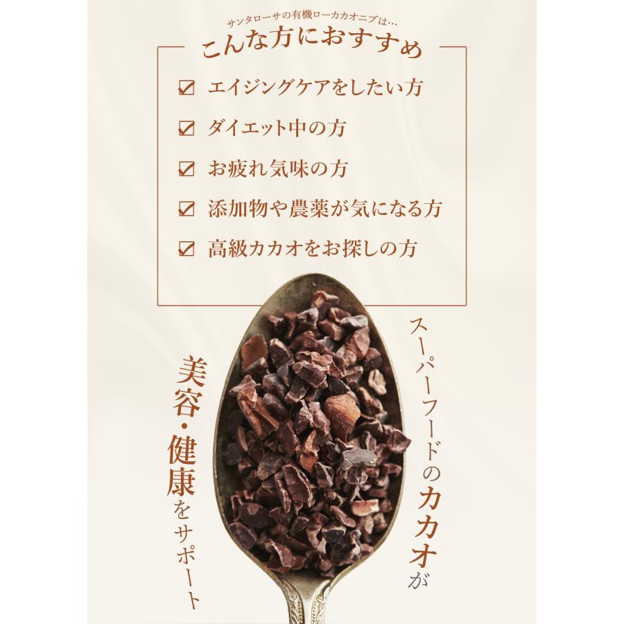 オーガニック カカオニブ 100g 無添加 クリオロ種 有機JAS オーガニック カカオニブ 100g 無添加 クリオロ種 有機JAS